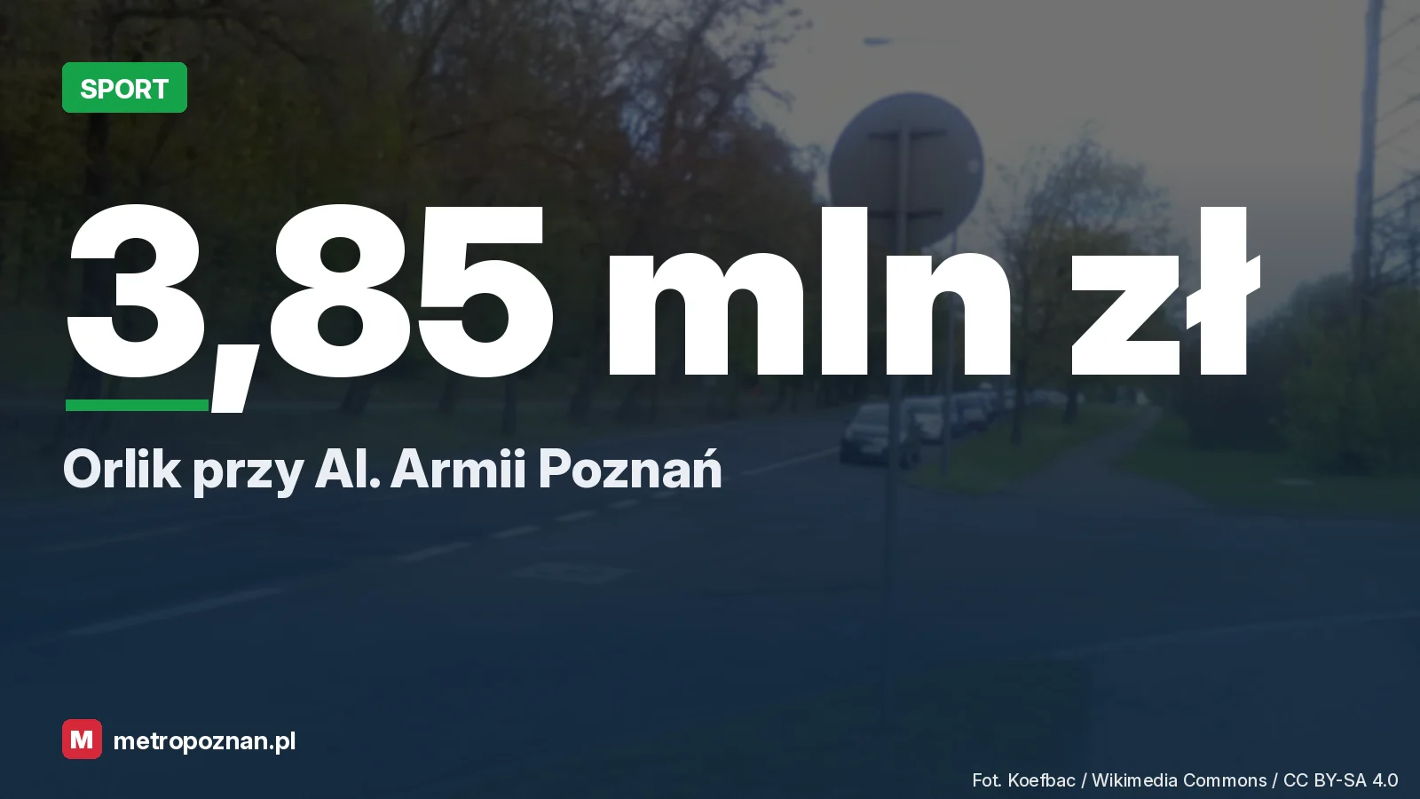 Aleja Armii Poznań w Poznaniu przy Cytadeli: jezdnia, drzewa na skarpie i chodnik